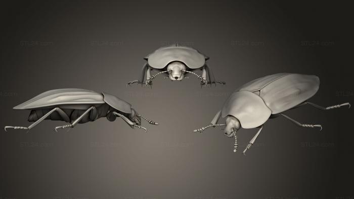 Насекомые (Насекомые жуки 71, INSCT_0051) 3D модель для ЧПУ станка
